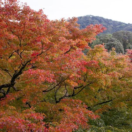 Osaka Ya Namba Pansiyon Dış mekan fotoğraf