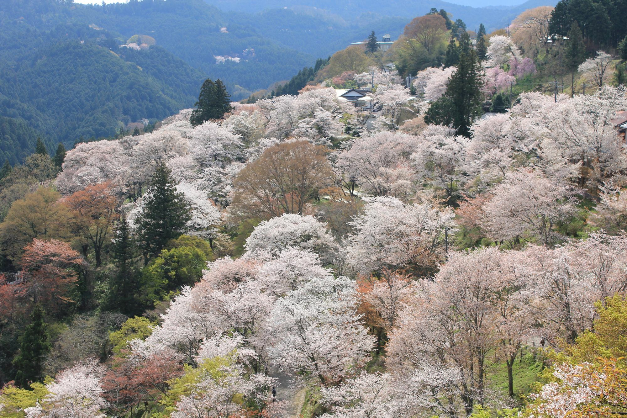 Osaka Ya Namba Pansiyon Dış mekan fotoğraf